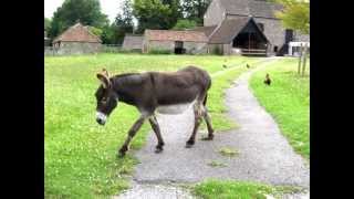 Danny Boy - Christy Moore