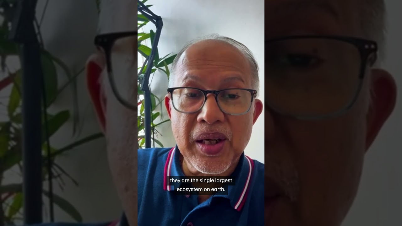 MSC World Ocean Day 2026 - Sunil Mohamed