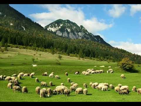 Dorel Savu ~ Sus în vârful muntelui