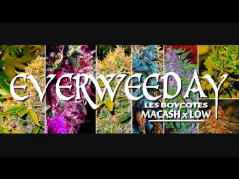 MaCasH Feat Low - EVERWEEDAY