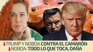 Trump and Noboa against shrimp | Noboa: Everything he touches, damages
