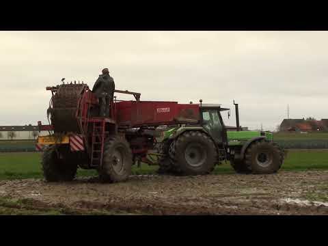 Landb. Dejonghe - Passendale - Deutz-Fahr AgroStar 6.81 - Deutz-Fahr DX 6.30 - Dewulf