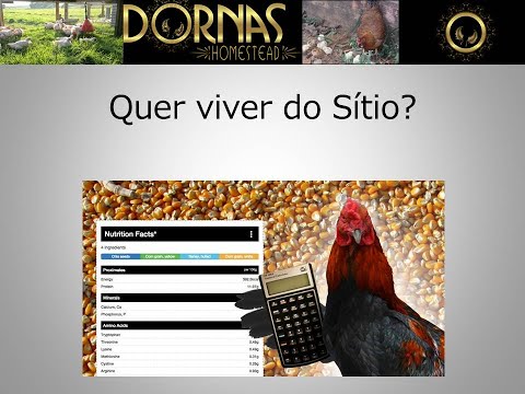 , title : 'Quer viver do Sítio??? E-book Plano de Negócios'