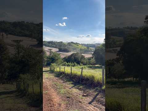 Interior do Paraná, Ivaipora do lado de jardim alegre e perto do lidianopolis.  #sitio #roca