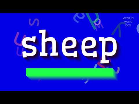 , title : 'HOW TO PRONOUNCE SHEEP? #sheep'