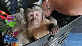 Very hot Sunday ....let's have some ice lolly's