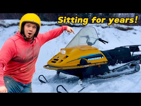 This 30 year old SKI-DOO was FREE! (Got it running in two hours)