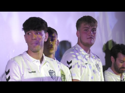 Mecklenburger Stiere im Kino