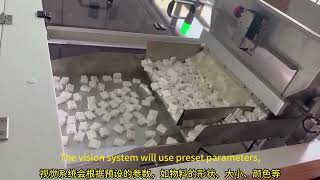 visual counting and packing machine