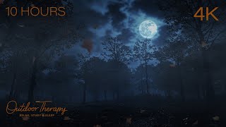 Moonlit Forest in Autumn | Fog & Blowing Leaves Ambience for Sleep, Study & Relaxation [4K] 10 Hours