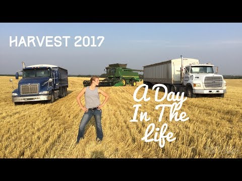 Harvest 2017. A Day In The Life Of A Farm Girl.