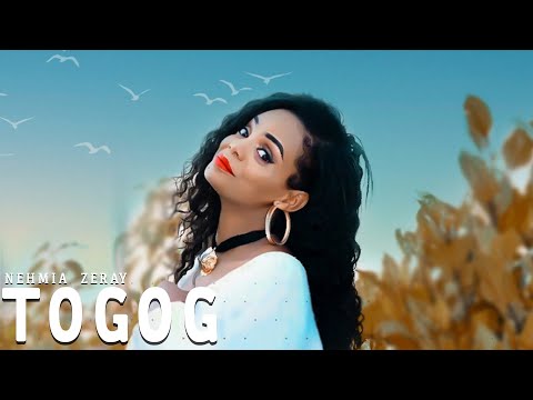Nehmya Zeray - New Eritrean Music 2021 //ነህምያ ዘርኣይ - Togog Ablo  (Official video)