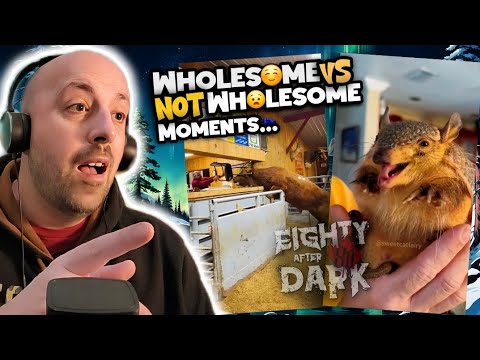 STILL Searching For The Most Wholesome Clip on the Internet! Ep.170