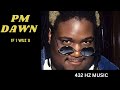 PM Dawn - If I Wuz U "432HZ"