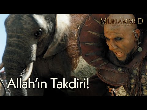 Allah'ın takdiriyle filler, Haremi Şerif'e giremedi!  | Hz. Muhammed: Allah'ın Elçisi