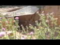 Archaeologists worried about plundering of Tunisia ancient sites - Al Jazeera English Archaeologists worried about plundering of Tunisia ancient sites