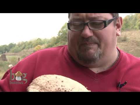 Big Boletus partea 1 (20 martie 2013)