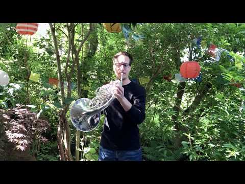 Waldhorn David Stettler