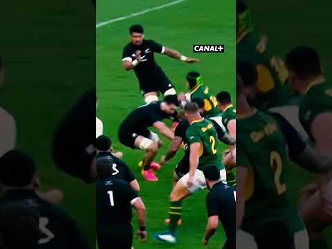 Pure rugby art 😍 #rugby #sports