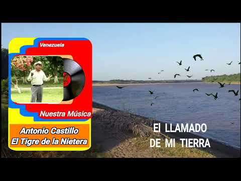 El Tigre de la Nietera Don Antonio Castillo "El Llamado de Mi Tierra"
