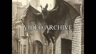 Stiff Little Fingers, 78 RPM