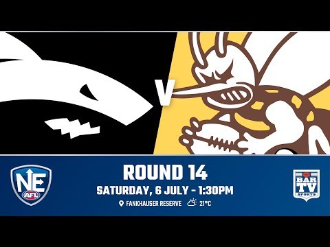 2019 NEAFL - Round 14 - Southport v Aspley