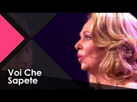 Voi Che Sapete - Wendy Kokkelkoren (Live Music Performance Video)