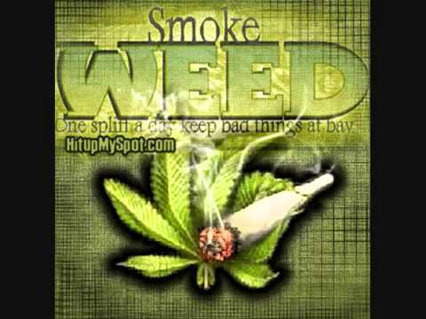 Alberto Gambino - Dame la weed, que yo quiero fumar.