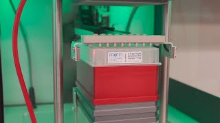 Tecan A200 automated S-Trap sample prep (full)