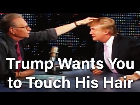 Donald Trump Needs You To Touch His Hair