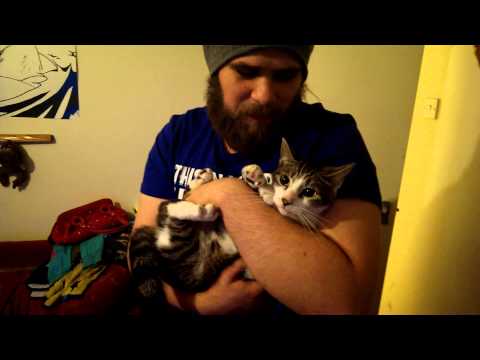 Cat Yodelling Success!