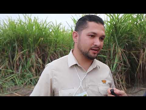 Usina Caeté apresenta plantadeira mecanizada para plantio de cana em São Miguel dos Campos