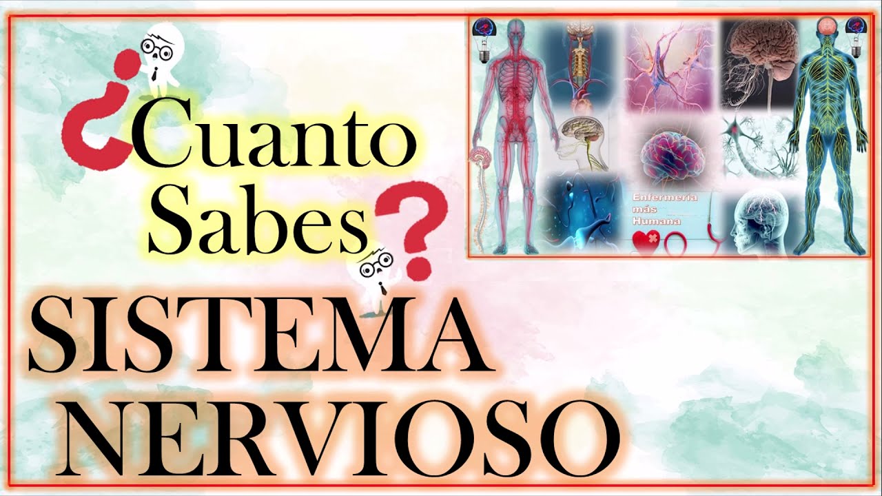 TEST del Sistema Nervioso. Enfermería más Humana