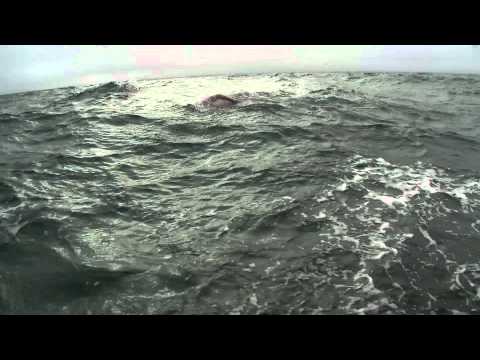 What It's Really Like To Swim The Channel