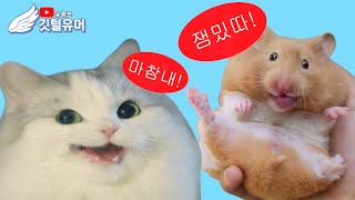 유튜브 썸네일