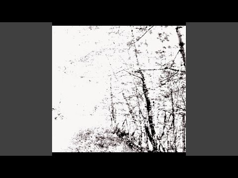 The Isle Of Summer video