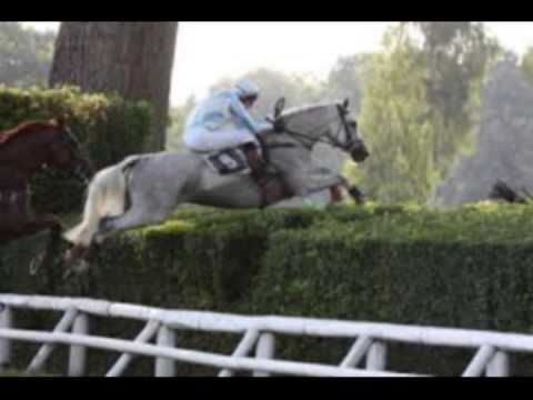 Veteráni-Ty jsi bejval mou láskou