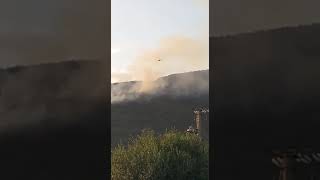 incendi-di-ferragosto-in-fiamme-i-boschi-di-avella