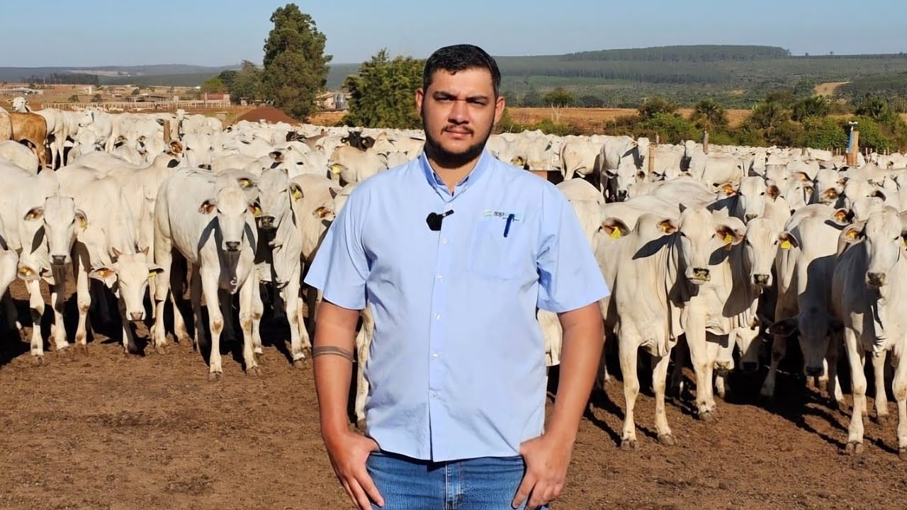 2 ANOS NESTE SISTEMA DE SUCESSO - ELE MOSTROU TODO MANEJO DA FAZENDA