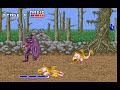 Golden Axe PC MS DOS Play As Chicken Leg