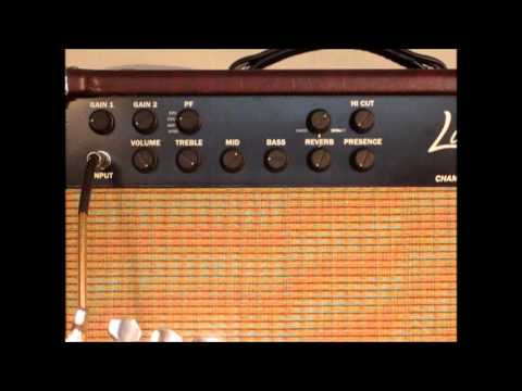 Luker Chameleon reverb 20 Tube Head image 9