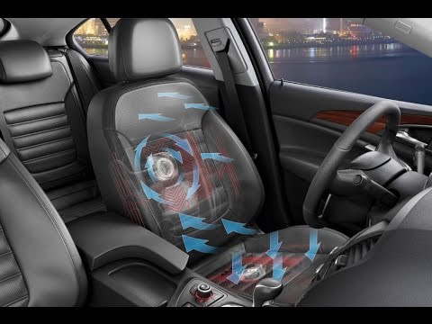 Opel Insignia - AGR Premium Ergonomic Sport seats