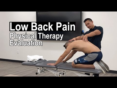 Low Back Pain FULL Physical Therapy Evaluation