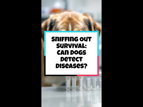 Sniffing Out Survival: Can Dogs Detect Diseases?