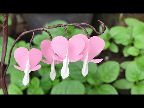 ABC TV | How To Make Easy Bleeding Heart Paper Flower - Craft Tutorial