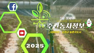 ✨[ 주간농사정보 ] 3월 4째주 (2025. 03. 24. ~ 03. 30.)