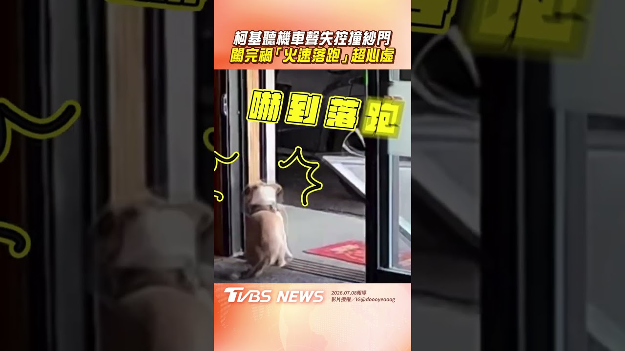 影音/柯基聽機車聲失控「撞倒紗窗門」 闖禍「火速落跑」超心虛