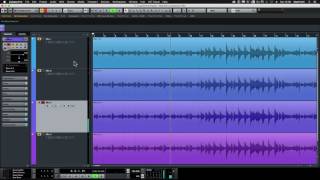 Neat King Bee &amp; Worker Bee microphone comparison