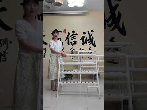 36 holes hydroponic growing system