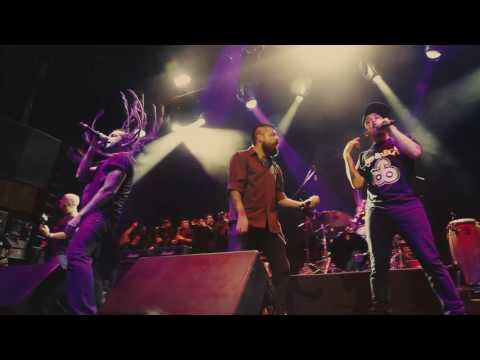 Genitallica Ft Inspector & Dr. Shenka - Tengo Un Amor (En Vivo 15 Años)